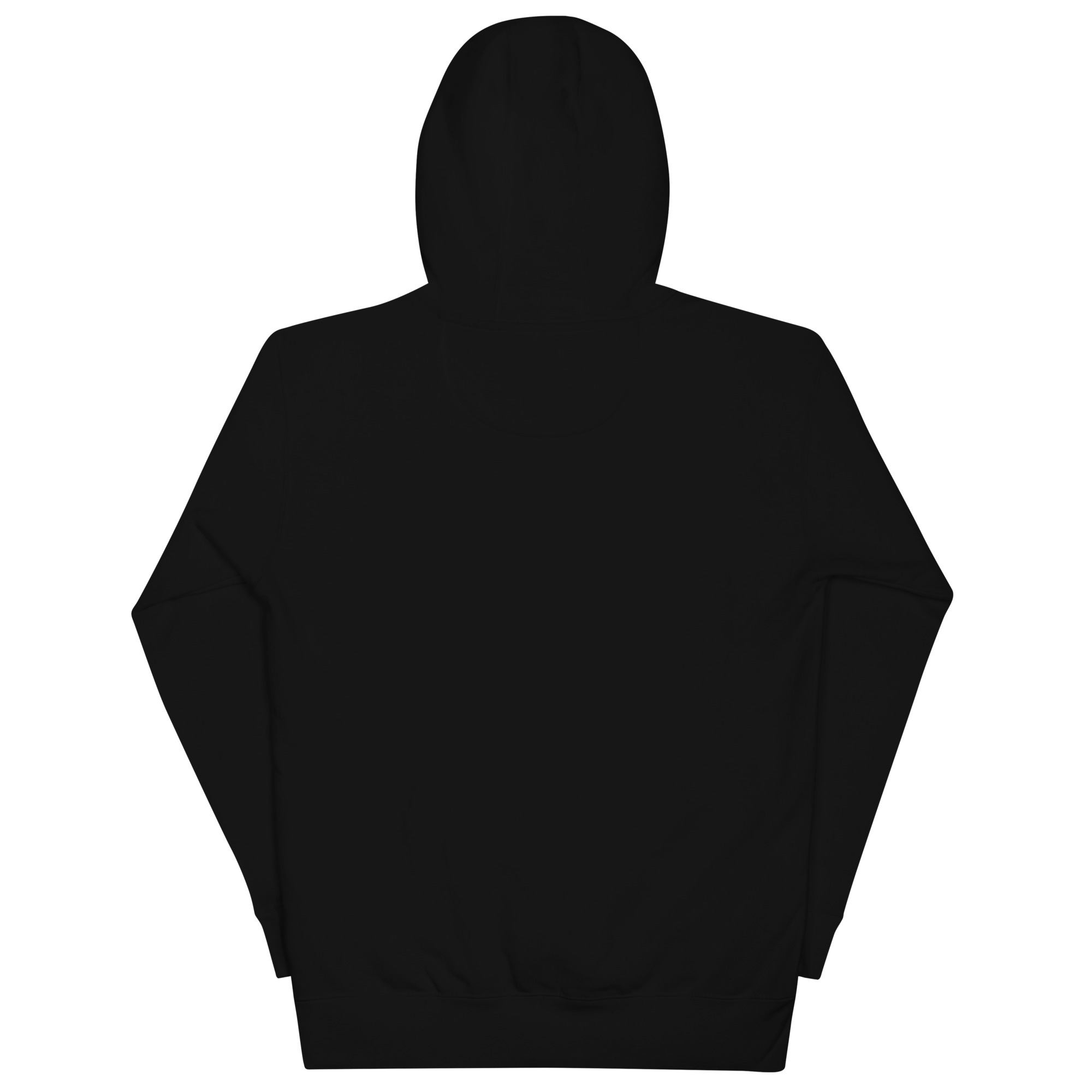 cotton-heritage-m2580-i-unisex-premium-pullover-hoodie-black-back-69a6269dd2df9.jpg