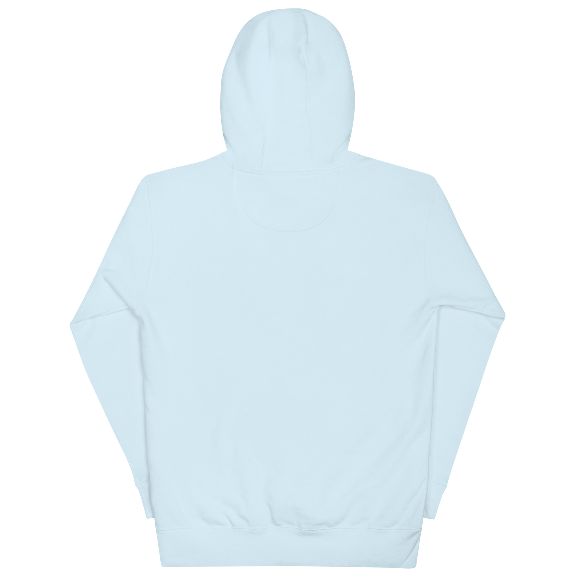 cotton-heritage-m2580-i-unisex-premium-pullover-hoodie-sky-blue-back-69a6269f59b10.jpg