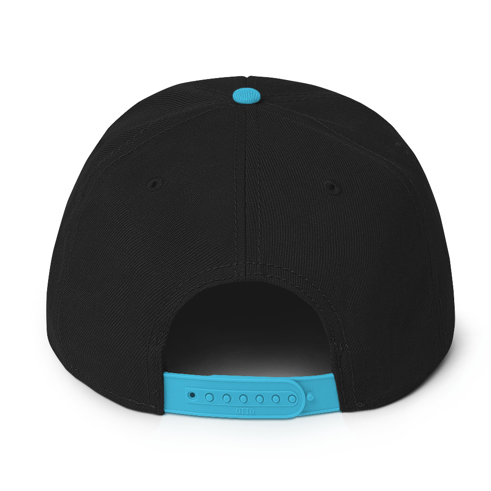 snapback-aqua-blue-black-black-back-69a63896873cc.jpg