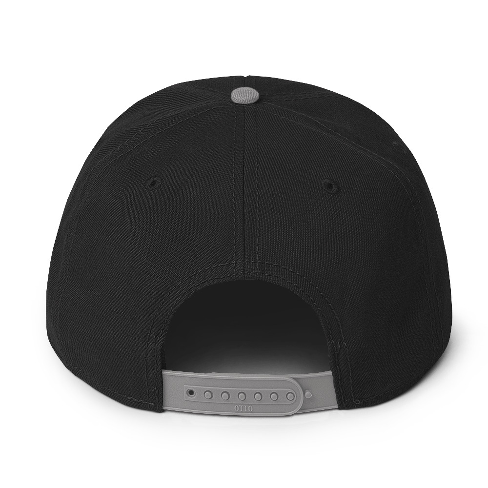 snapback-gray-black-black-back-69a6389686812.jpg