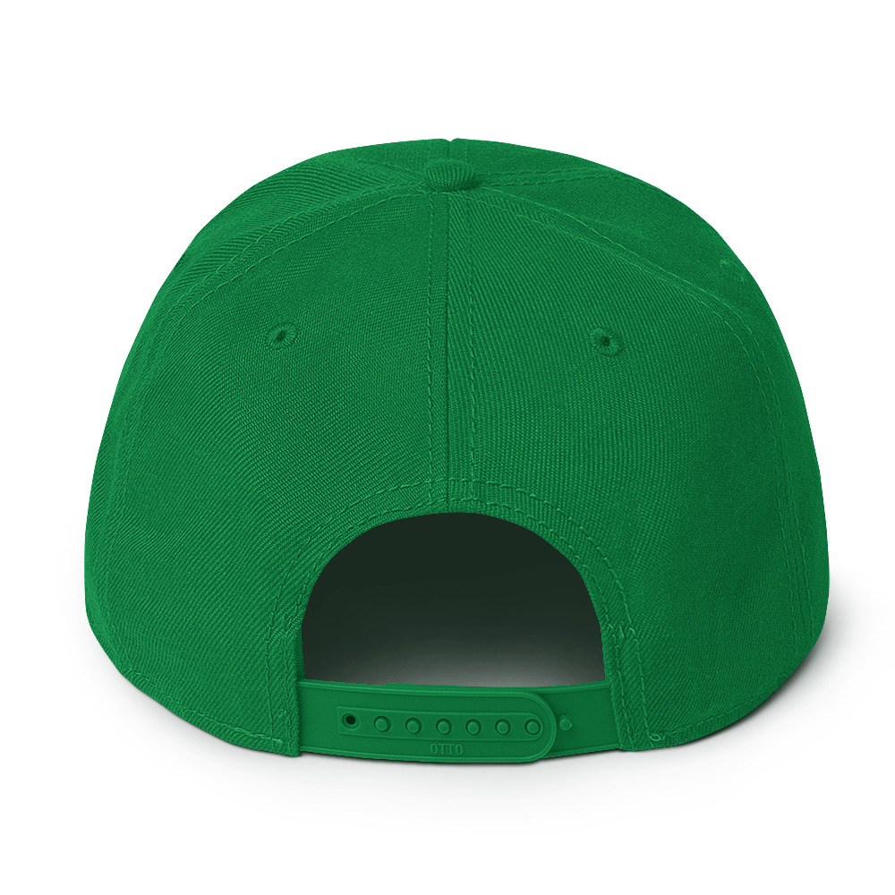 snapback-kelly-green-back-69a63896905a1.jpg