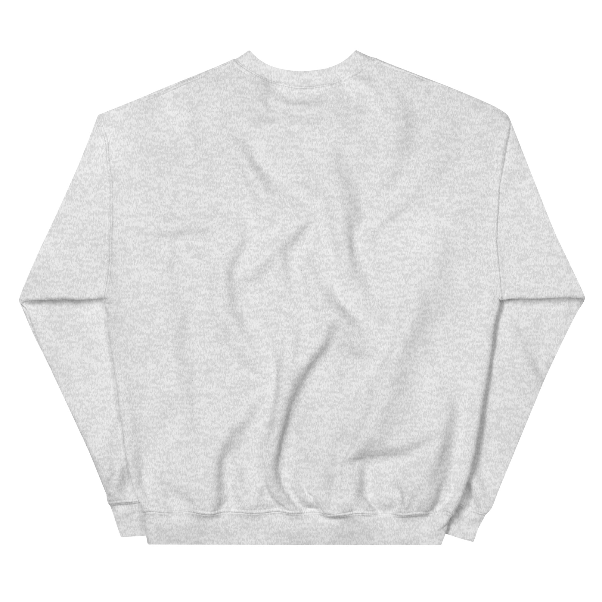 unisex-crew-neck-sweatshirt-ash-back-69a62a4d02d35.jpg