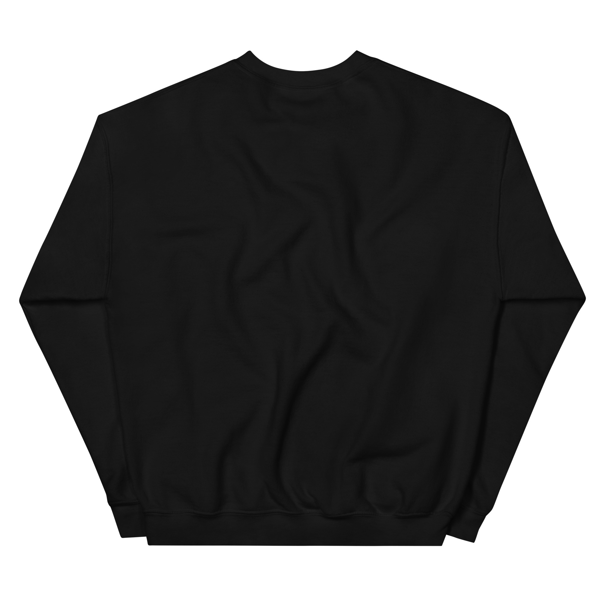 unisex-crew-neck-sweatshirt-black-back-69a62a4a5e5c4.jpg