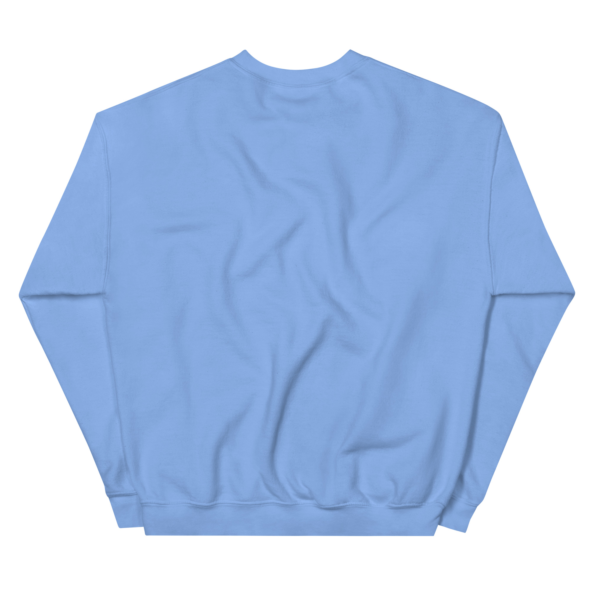 unisex-crew-neck-sweatshirt-carolina-blue-back-69a62a4be0d3f.jpg