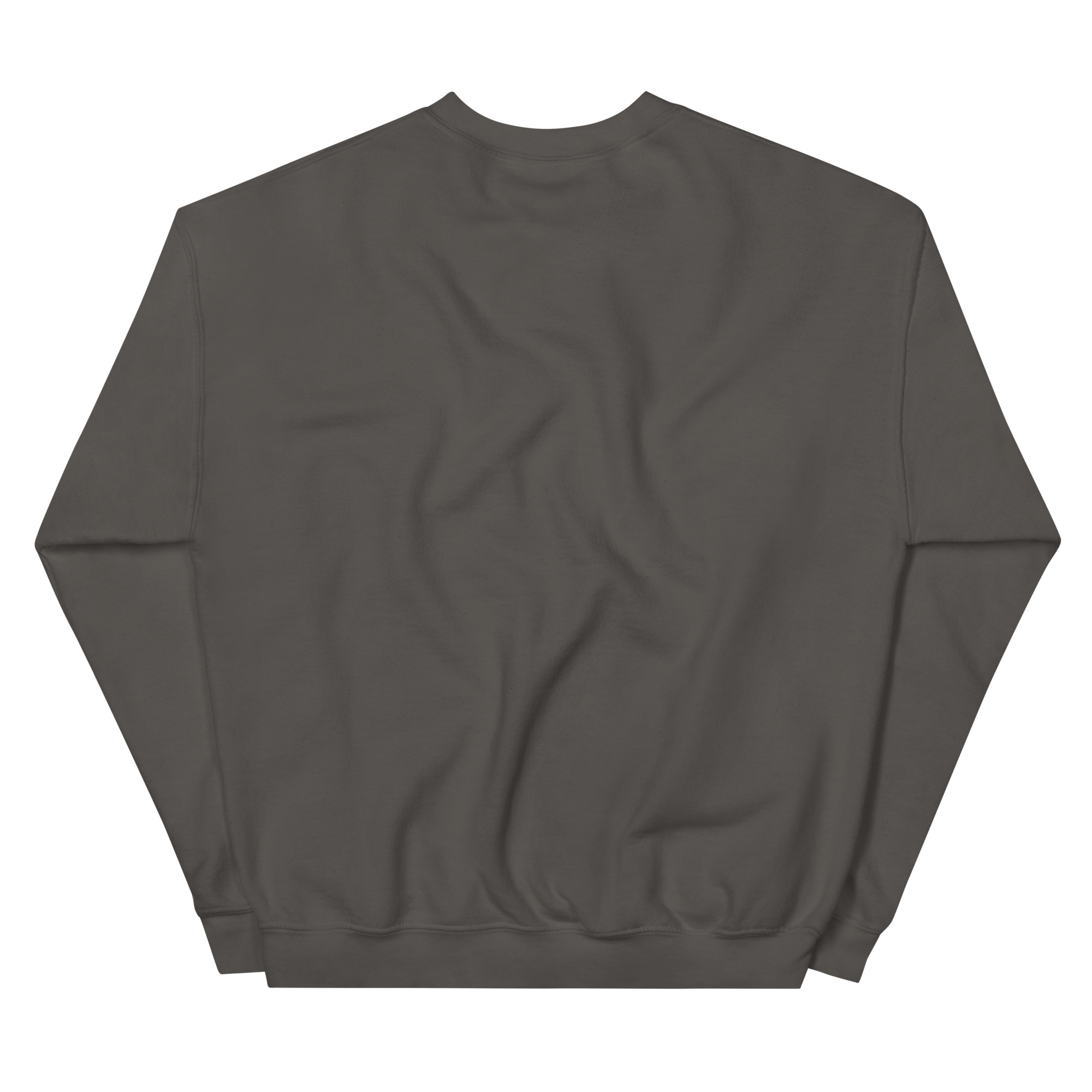 unisex-crew-neck-sweatshirt-charcoal-back-69a62a4ad541e.jpg