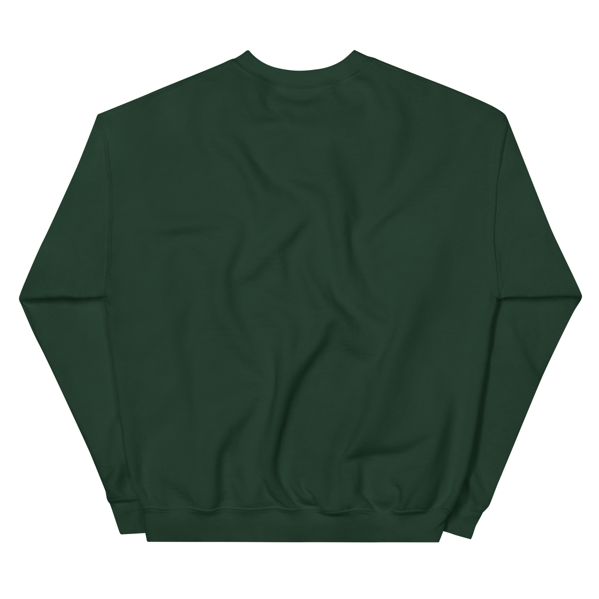 unisex-crew-neck-sweatshirt-forest-green-back-69a62a4a85651.jpg