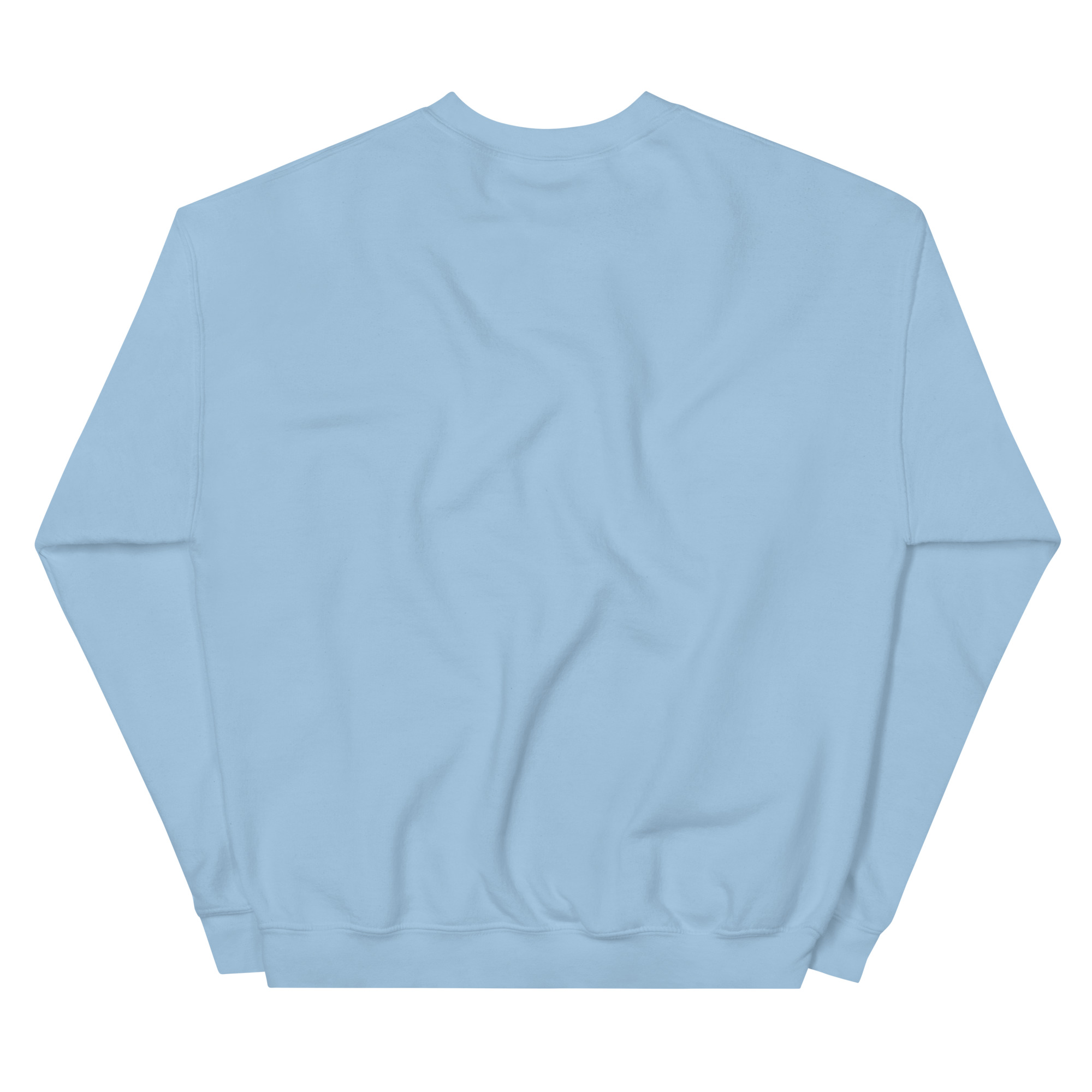 unisex-crew-neck-sweatshirt-light-blue-back-69a62a4c40382.jpg