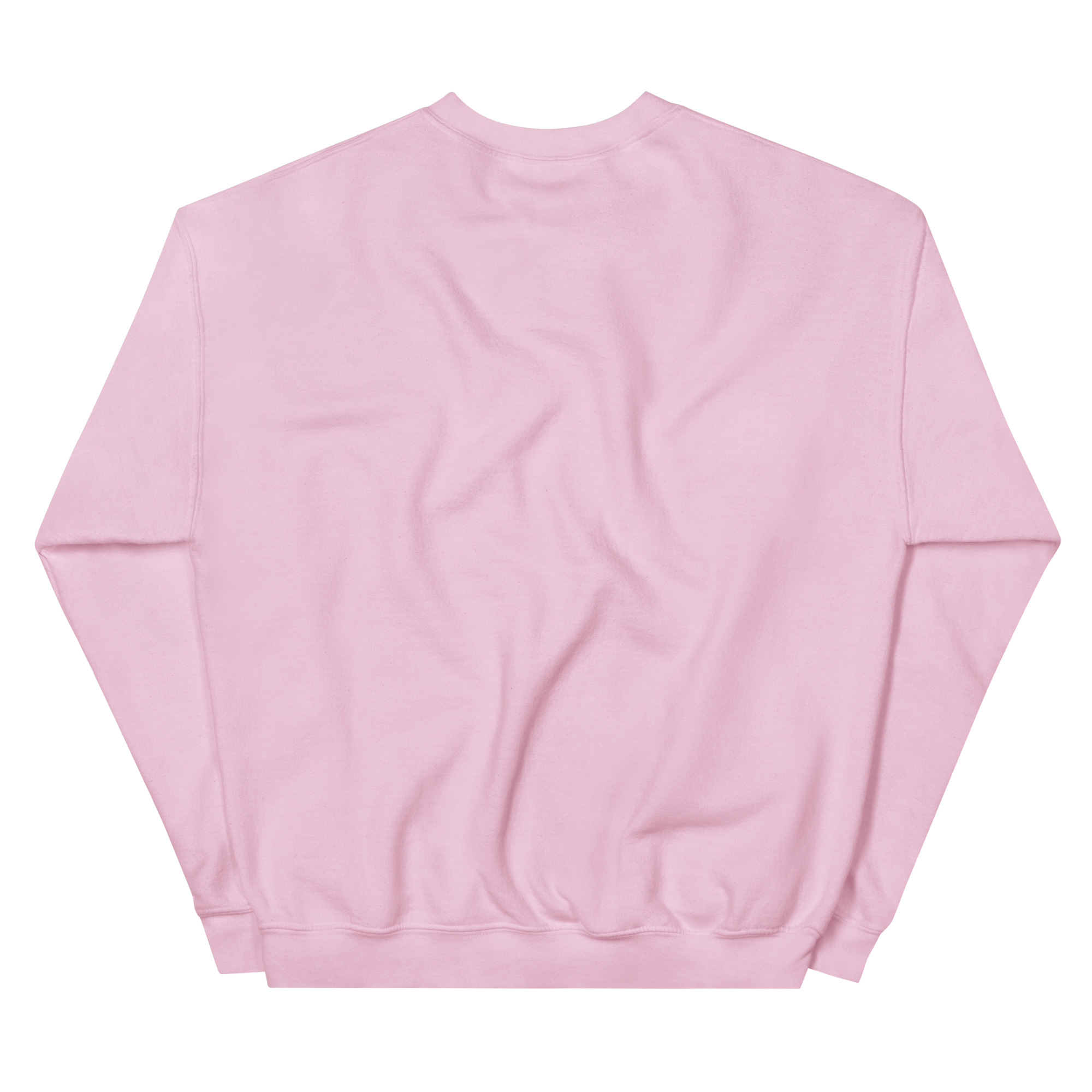 unisex-crew-neck-sweatshirt-light-pink-back-69a62a4cc9315.jpg