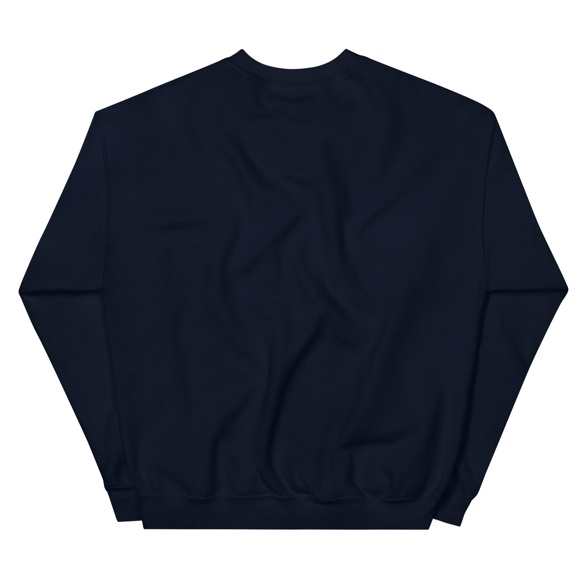 unisex-crew-neck-sweatshirt-navy-back-69a62a4a61312.jpg
