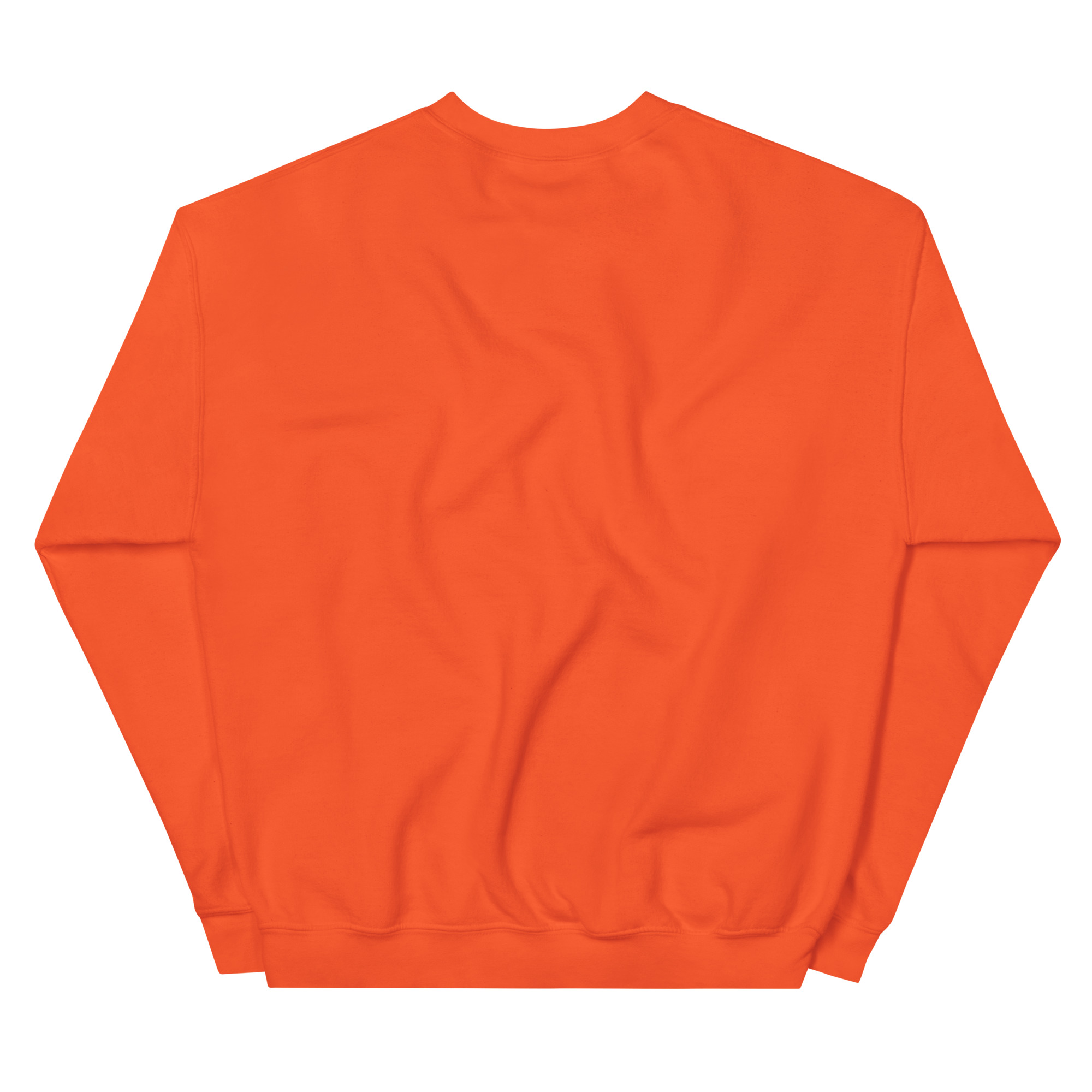 unisex-crew-neck-sweatshirt-orange-back-69a62a4b556e7.jpg