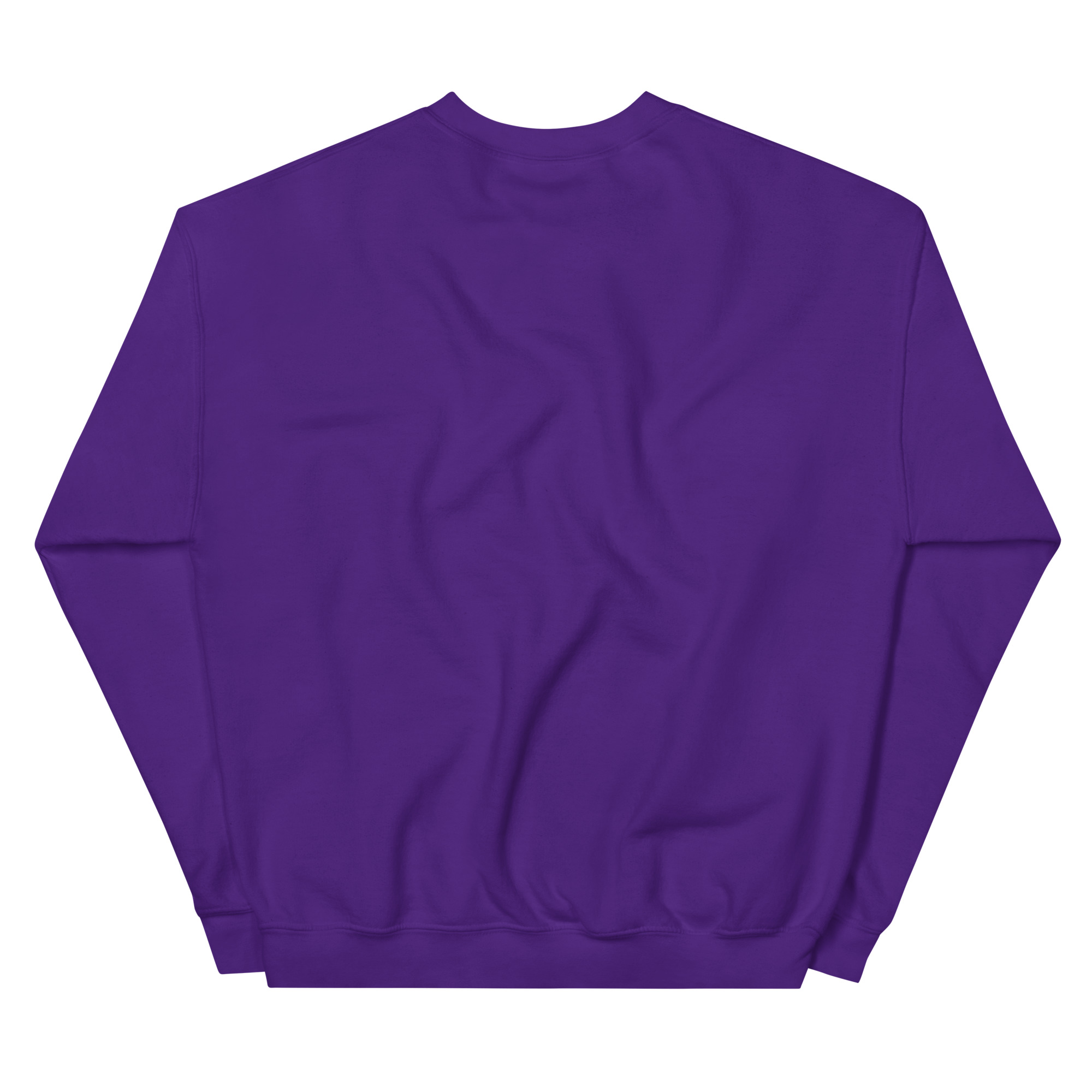 unisex-crew-neck-sweatshirt-purple-back-69a62a4a6e1e8.jpg