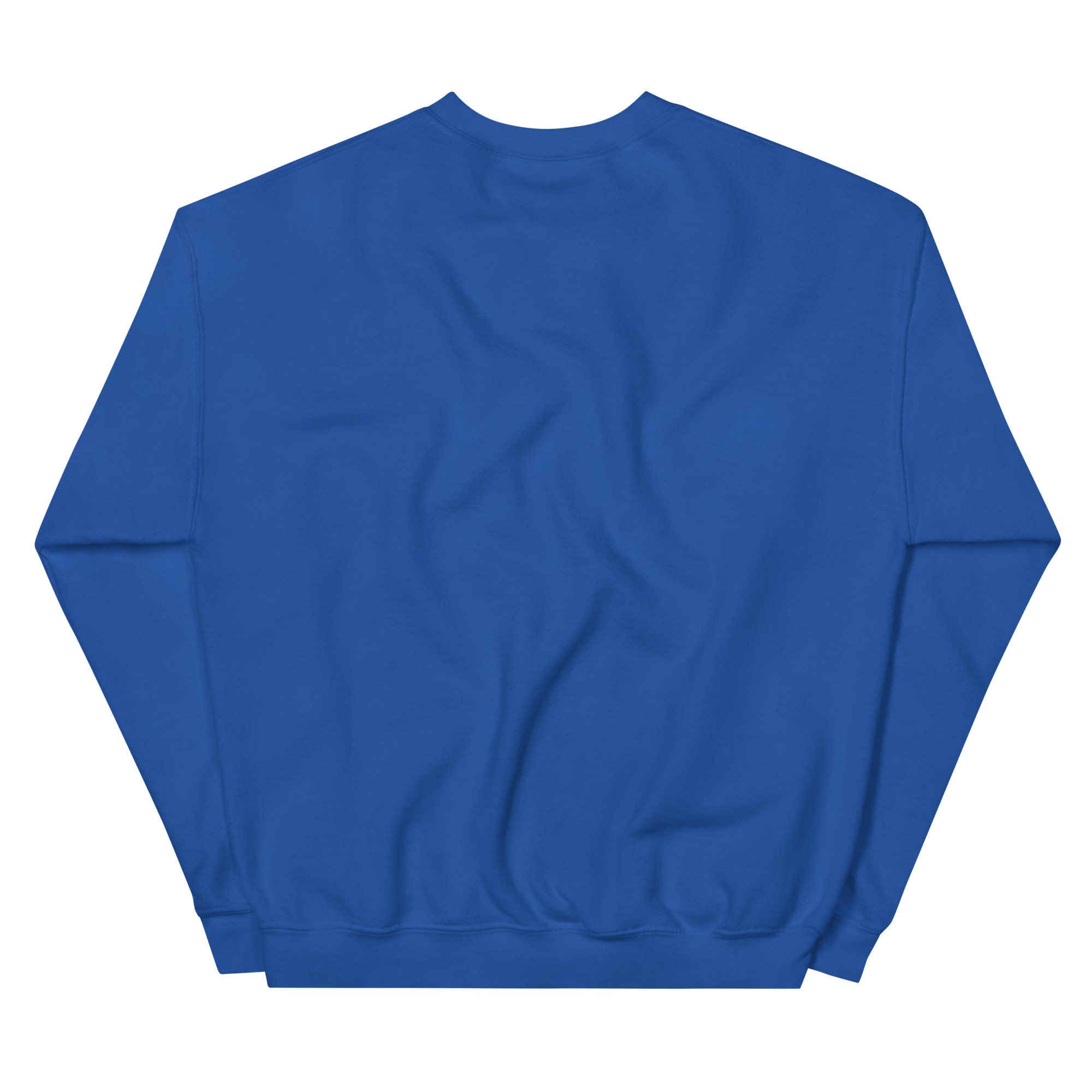 unisex-crew-neck-sweatshirt-royal-back-69a62a4abcf5e.jpg