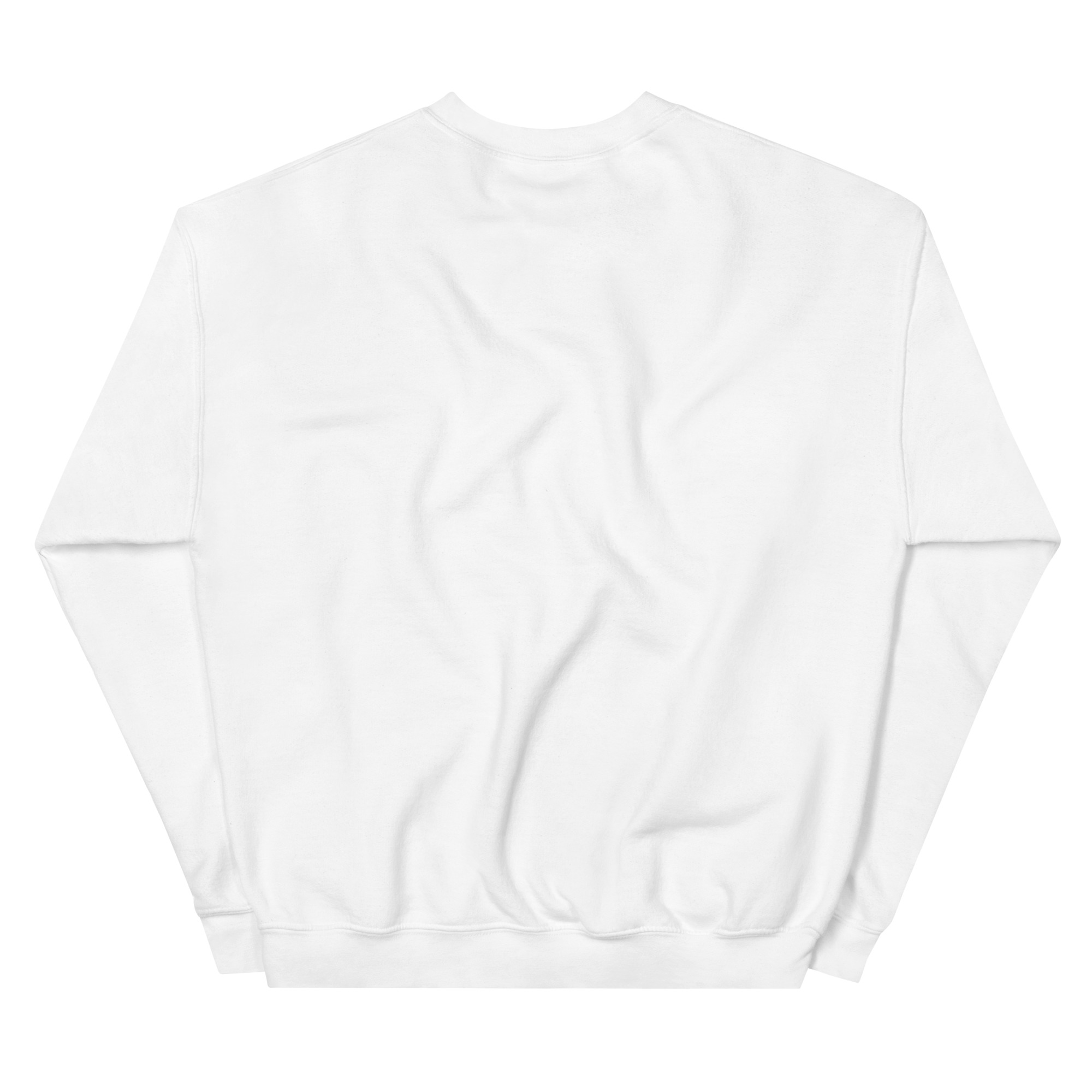 unisex-crew-neck-sweatshirt-white-back-69a62a4d2ff87.jpg