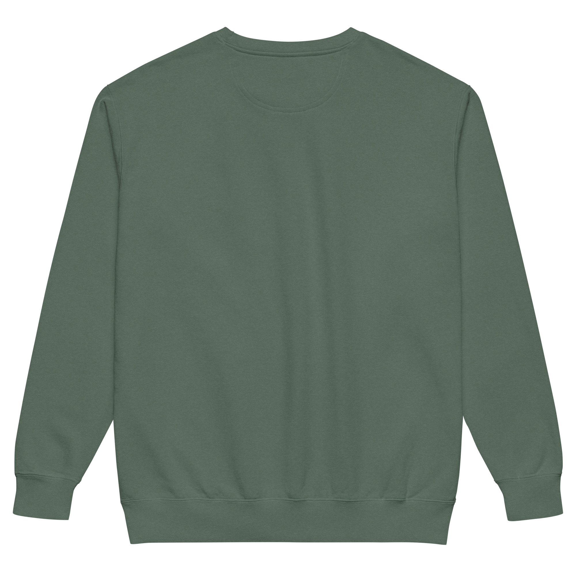 unisex-garment-dyed-sweatshirt-blue-spruce-back-69a6284950019.jpg