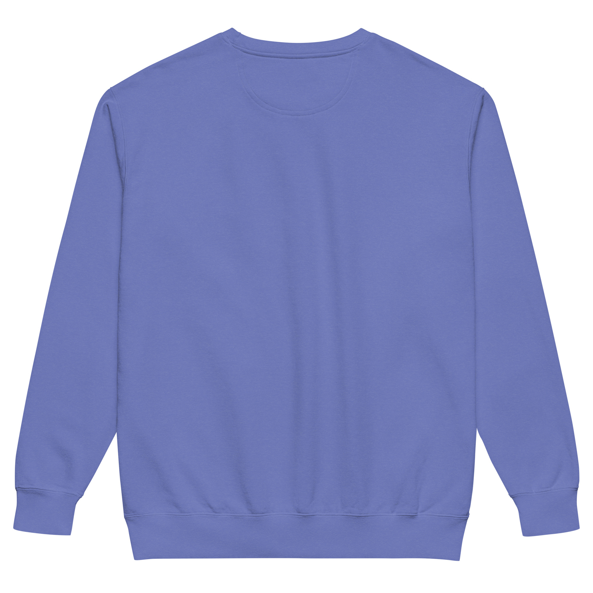 unisex-garment-dyed-sweatshirt-flo-blue-back-69a6284953e43.jpg