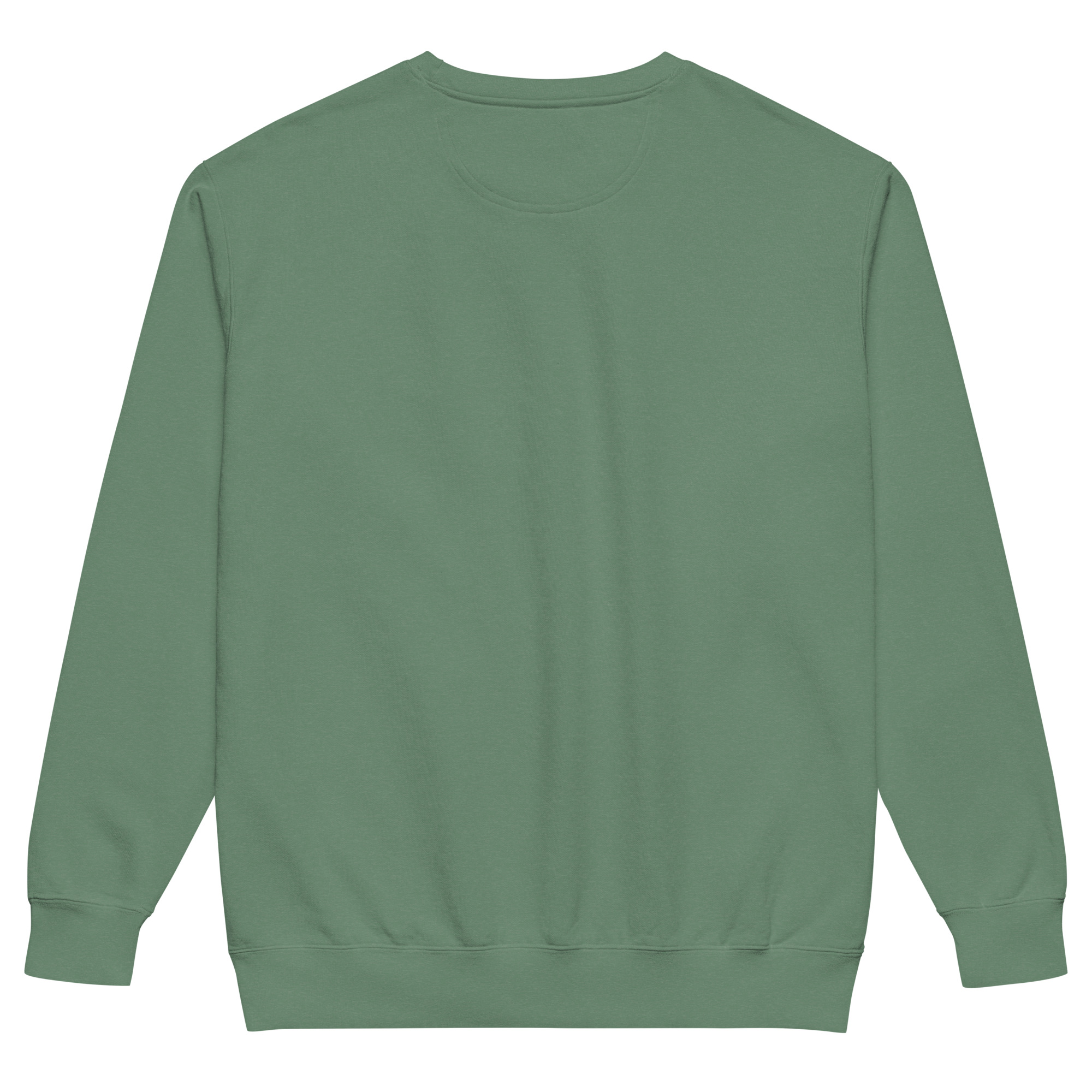 unisex-garment-dyed-sweatshirt-light-green-back-69a6284955c0b.jpg