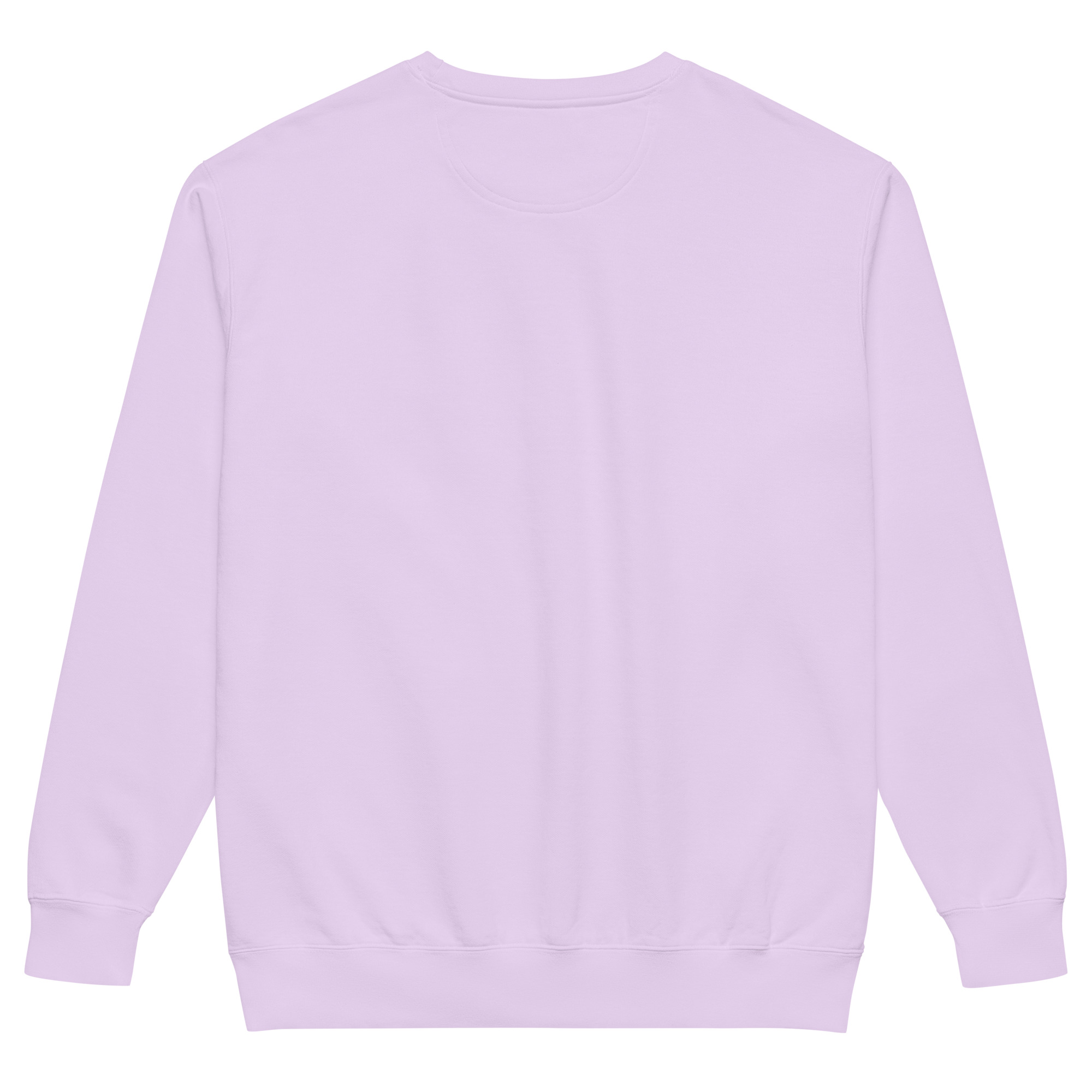 unisex-garment-dyed-sweatshirt-orchid-back-69a628496dc66.jpg