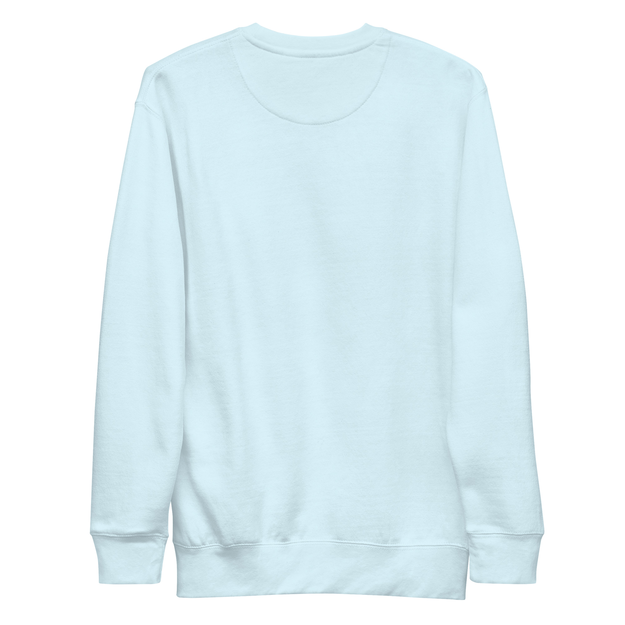 unisex-premium-sweatshirt-sky-blue-back-69a627fa4a873.jpg