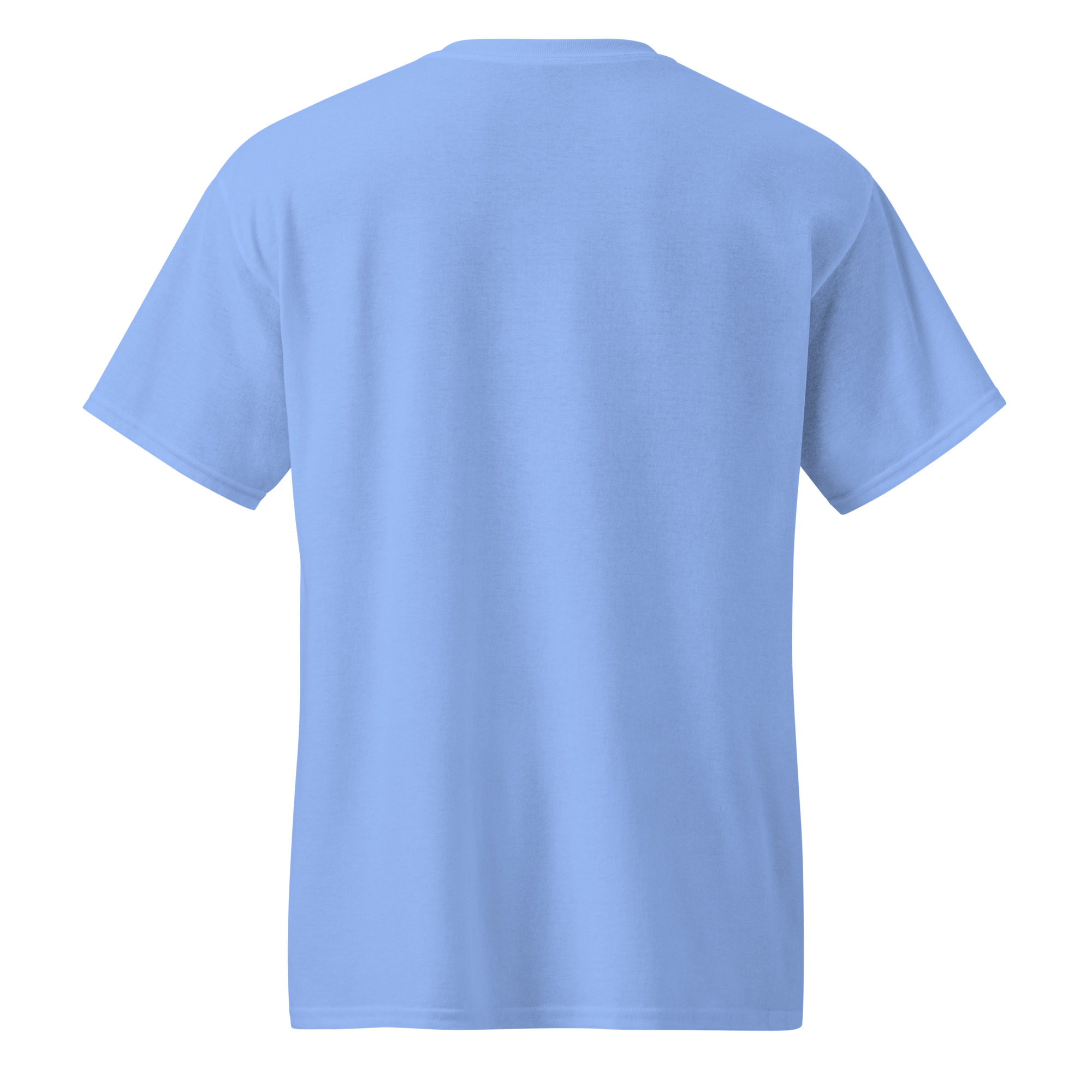 unisex-sports-tee-carolina-blue-back-69a6299341492.jpg