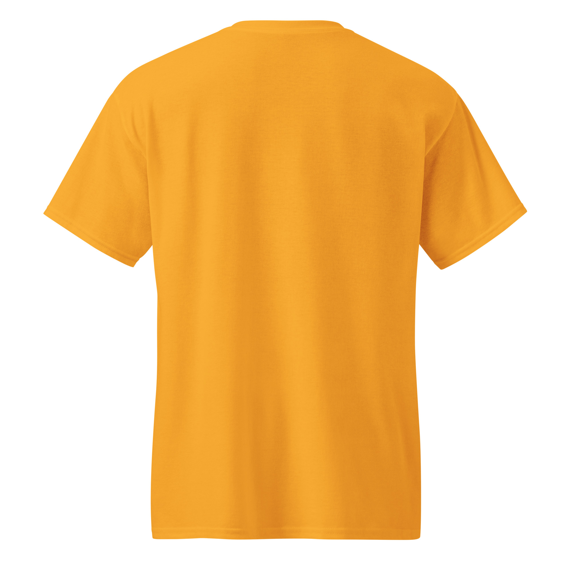 unisex-sports-tee-gold-back-69a6299338e0e.jpg