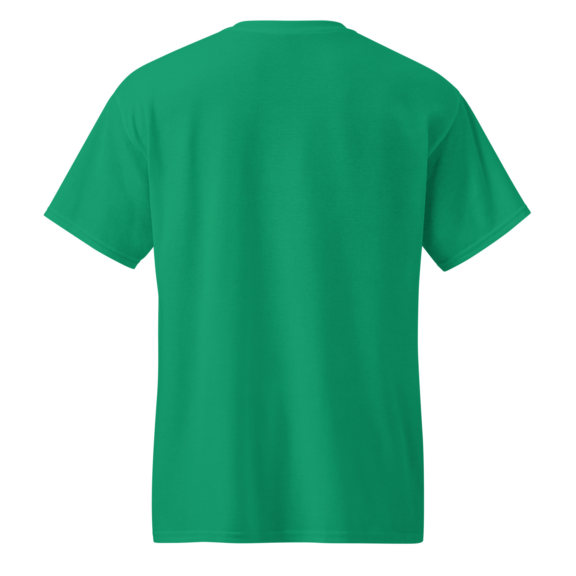 unisex-sports-tee-kelly-green-back-69a6299325ab7.jpg