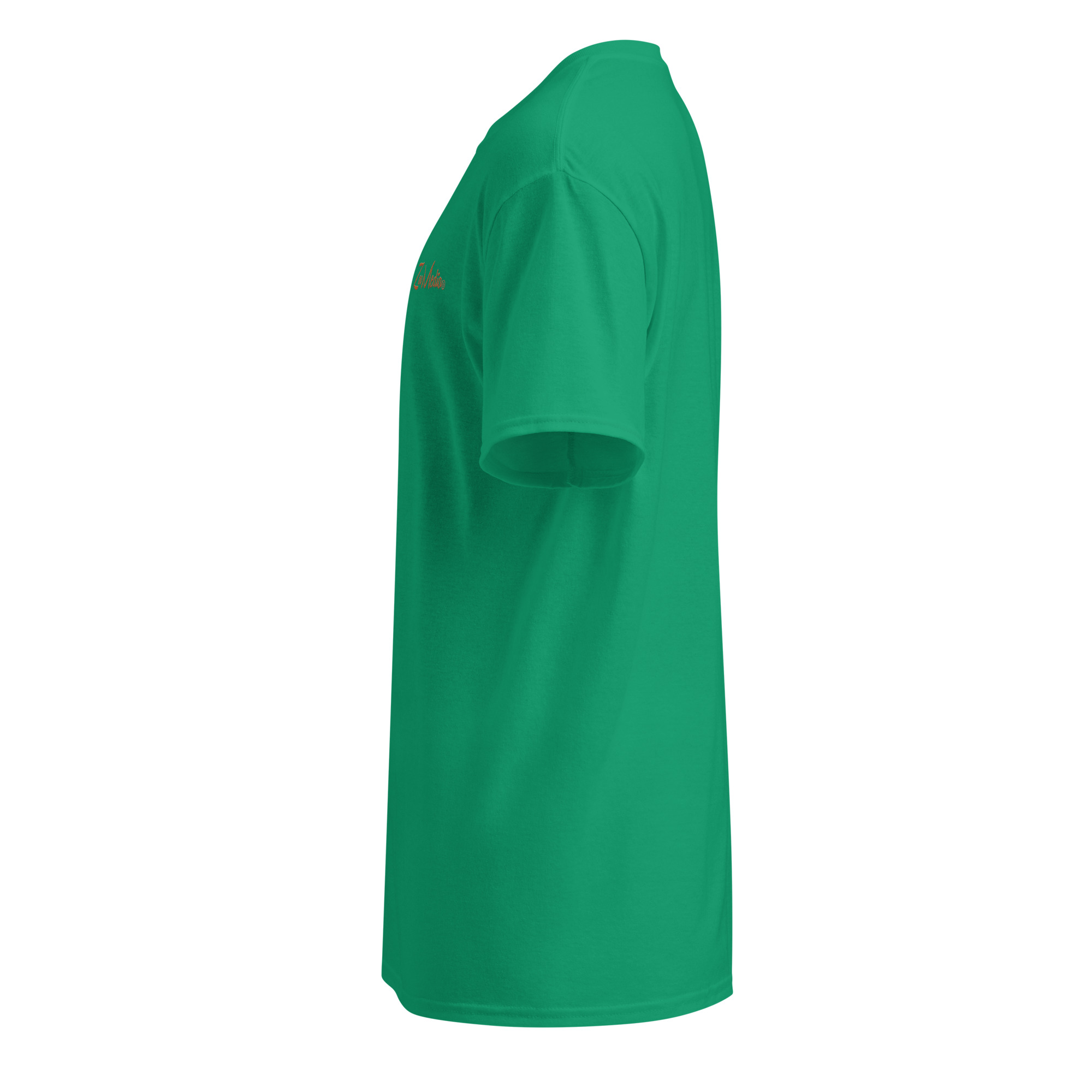 unisex-sports-tee-kelly-green-left-69a6299327400.jpg