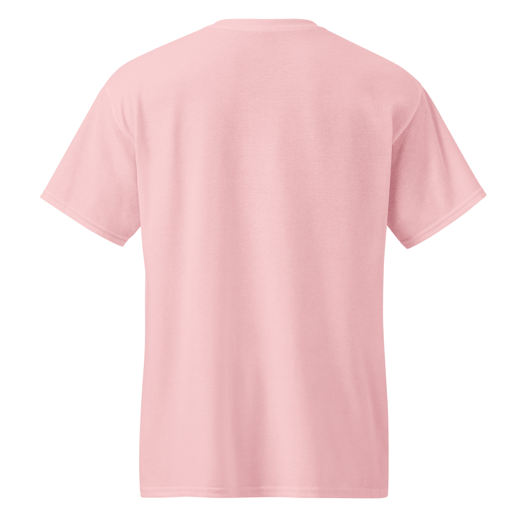 unisex-sports-tee-light-pink-back-69a629934c3c7.jpg