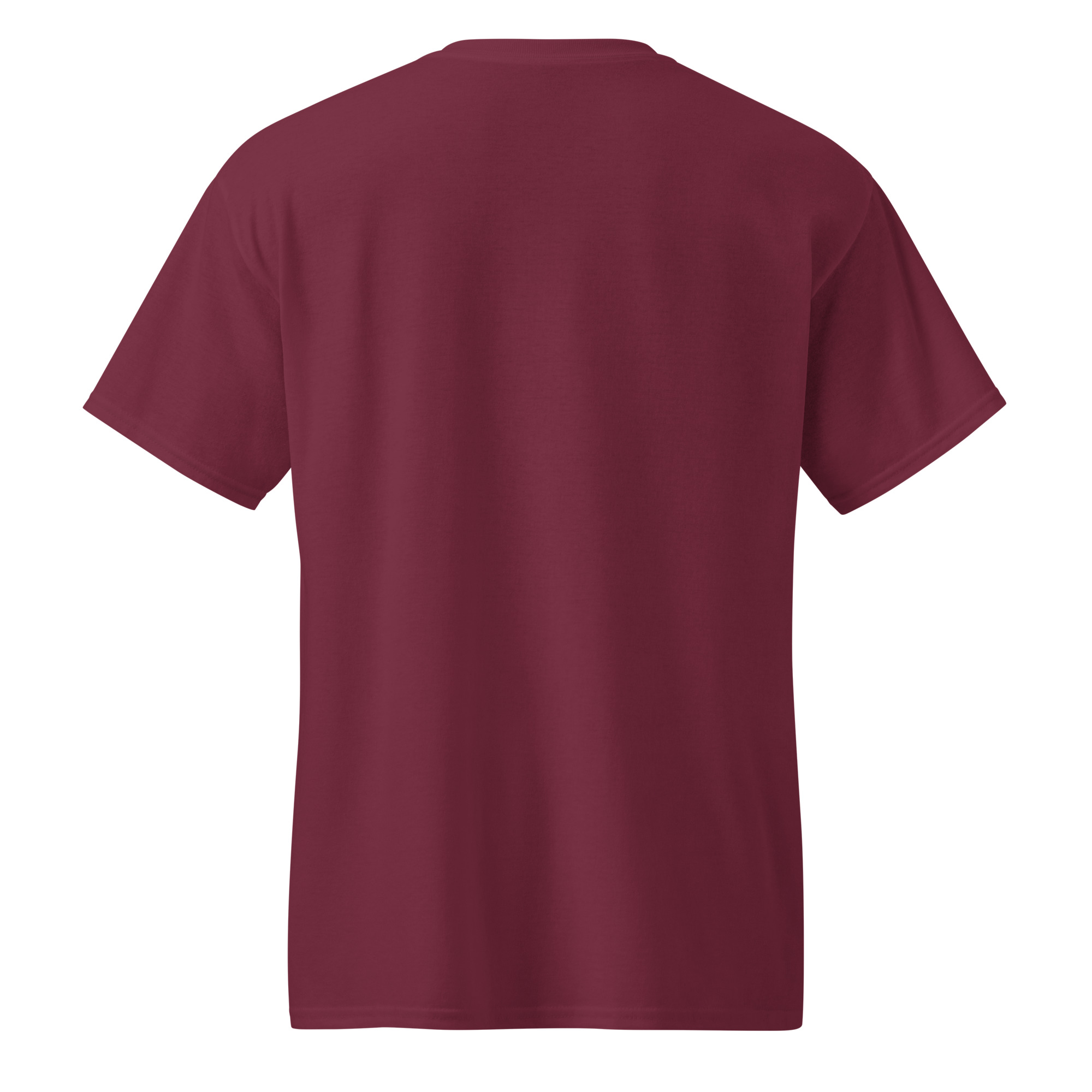 unisex-sports-tee-maroon-back-69a6299315ee0.jpg
