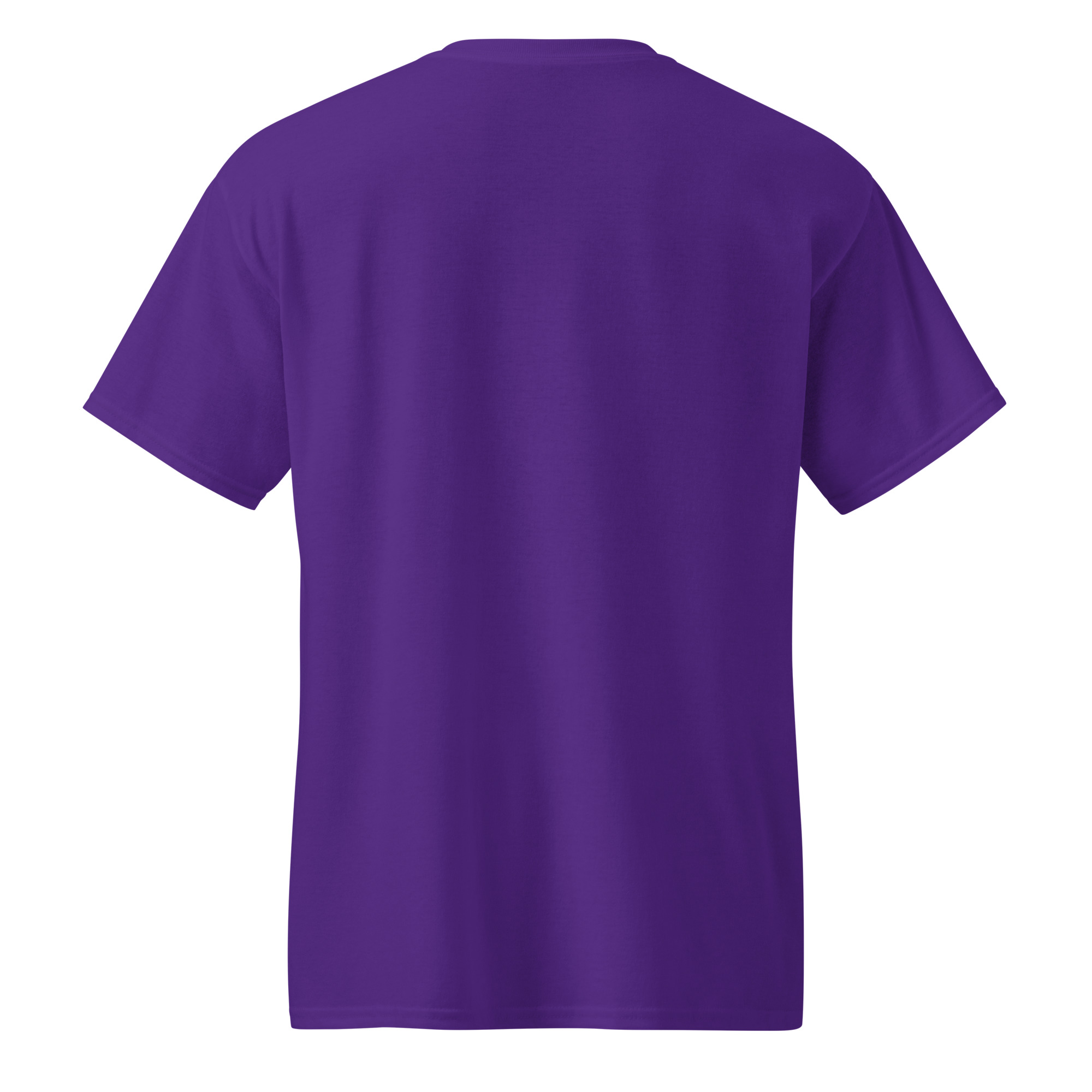 unisex-sports-tee-purple-back-69a62993135fe.jpg