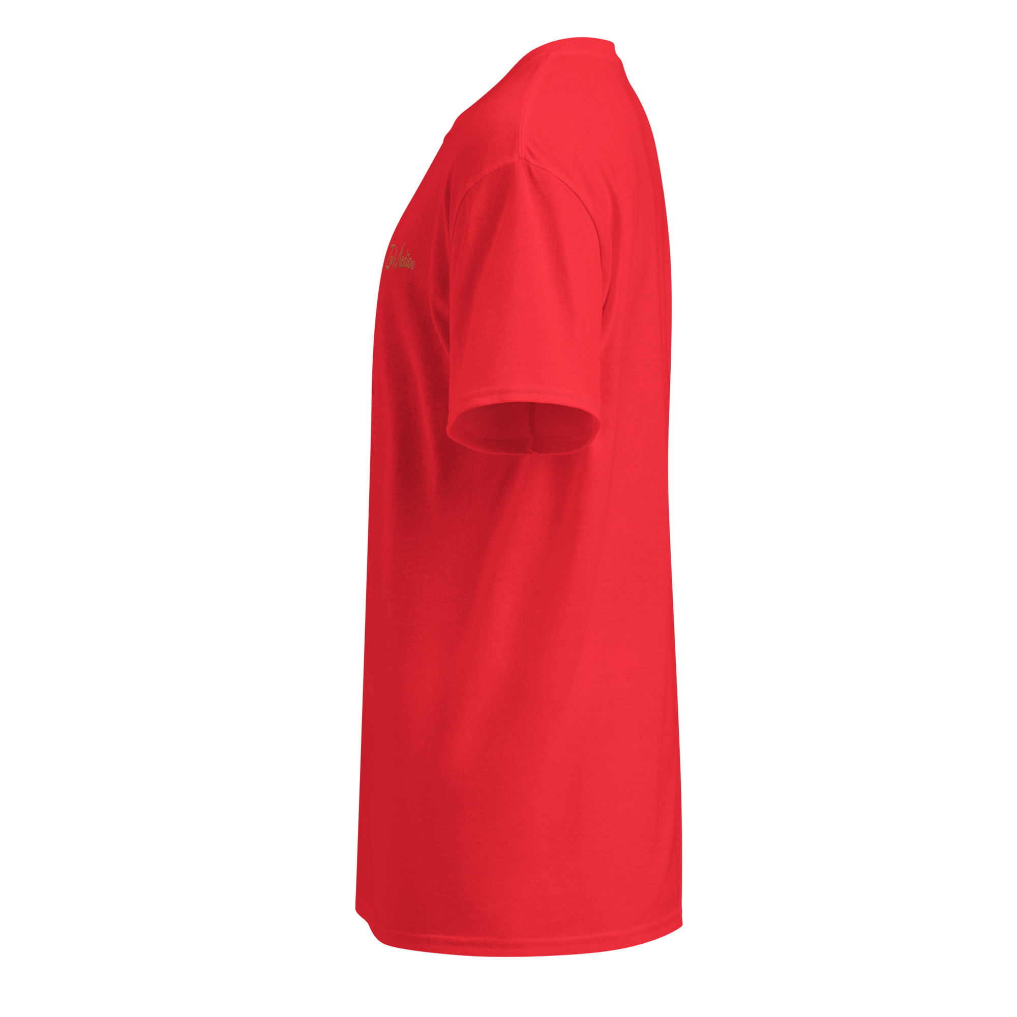 unisex-sports-tee-red-left-69a629931e515.jpg
