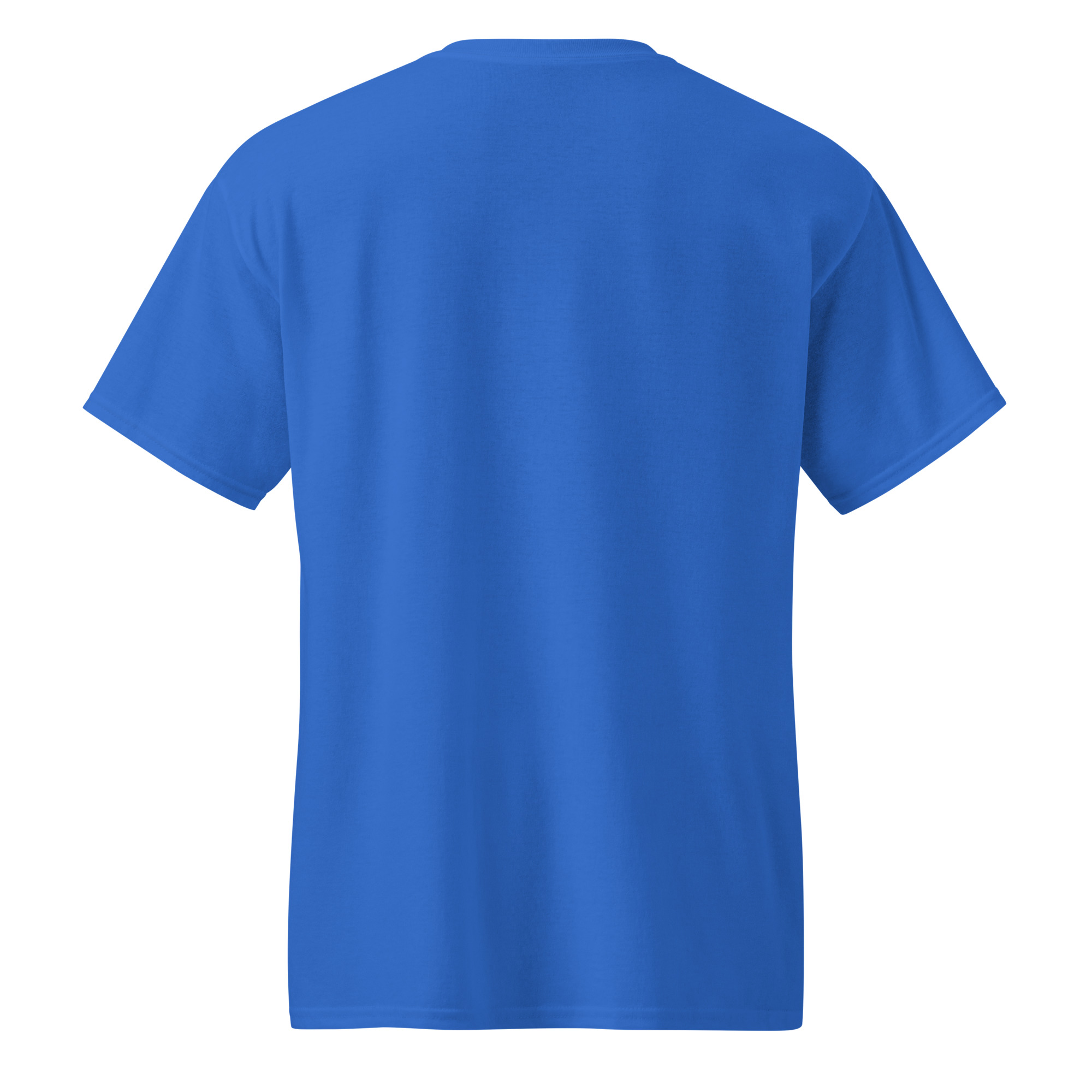unisex-sports-tee-royal-back-69a629932160f.jpg